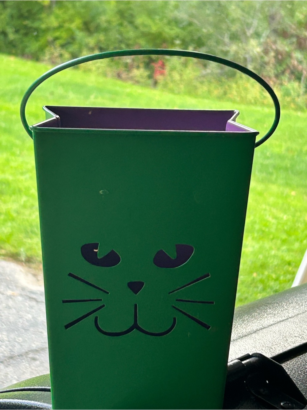 Green Cat metal Lantern Bucket for candles or candies or decor